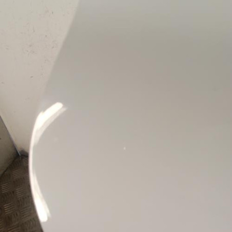 Porte avant gauche RENAULT CLIO 4