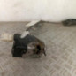 Serrure avant droit FIAT SCUDO 2