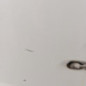 Malle/Hayon arriere CITROEN C4 PICASSO 2