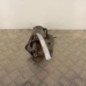Demarreur RENAULT CLIO 3