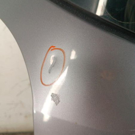 Malle/Hayon arriere RENAULT MODUS
