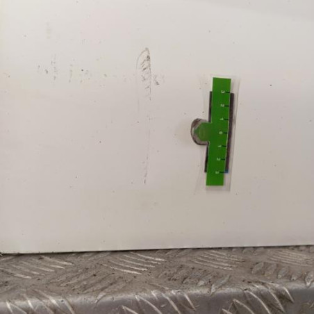 Porte arriere gauche CITROEN C4 PICASSO 2