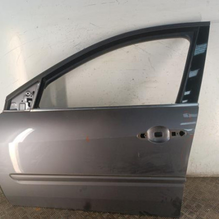 Porte avant gauche RENAULT LAGUNA 3 Photo n°1