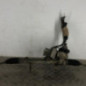 Cremaillere assistee PEUGEOT 208 1