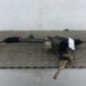 Cremaillere assistee PEUGEOT 2008 1