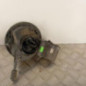 Trappe d'essence RENAULT CLIO 4