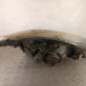 Optique avant principal gauche (feux)(phare) RENAULT CLIO 3