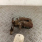 Etrier arriere droit (freinage) CITROEN XSARA PICASSO
