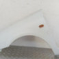 Aile avant gauche RENAULT CLIO 2