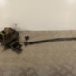 Serrure avant droit VOLKSWAGEN GOLF 4