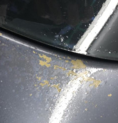 Malle/Hayon arriere OPEL CORSA D Photo n°4