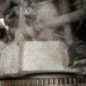 Moteur HONDA CIVIC 8