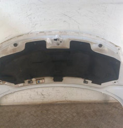 Capot PEUGEOT 207
