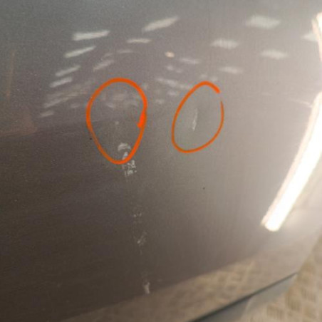 Porte arriere droit RENAULT MODUS