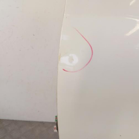 Porte avant gauche PEUGEOT 207
