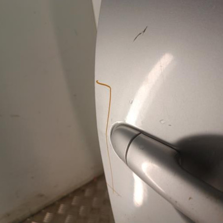 Porte avant droit RENAULT GRAND SCENIC 2