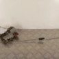 Serrure avant droit PEUGEOT 206