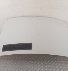 Capot RENAULT TRAFIC 2 Photo n°1
