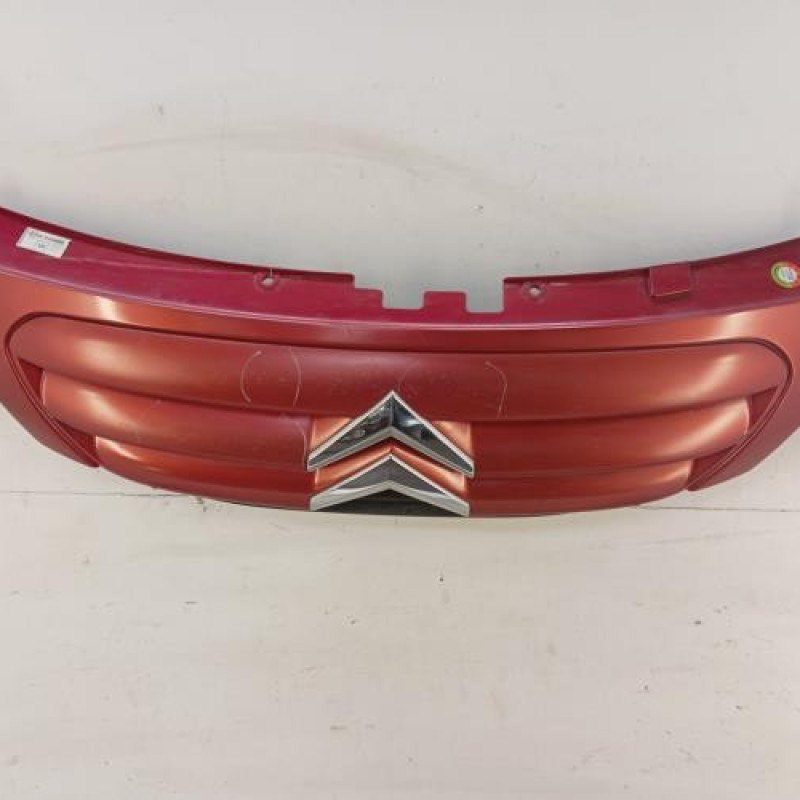 Calandre CITROEN C3 1