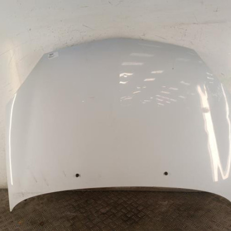 Capot RENAULT CLIO 2 Photo n°1