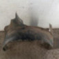 Pare boue avant droit PEUGEOT 306
