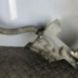 Vase de lave glace PEUGEOT 308 1