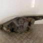 Optique avant principal droit (feux)(phare) FORD FOCUS 2