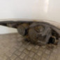 Optique avant principal gauche (feux)(phare) FORD FOCUS 2