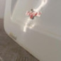 Porte de coffre gauche RENAULT KANGOO 2