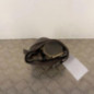 Ceinture avant gauche CITROEN BERLINGO 1