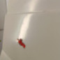 Porte laterale droit FORD TRANSIT 3