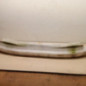 Absorbeur de pare choc avant TOYOTA YARIS 3