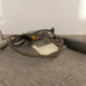 Attache ceinture avant gauche RENAULT KANGOO 2