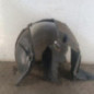 Pare boue avant gauche NISSAN QASHQAI 1