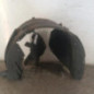 Pare boue avant gauche NISSAN QASHQAI 1