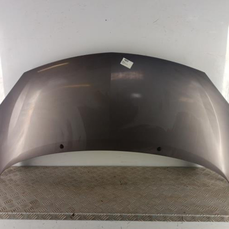 Capot RENAULT TWINGO 2
