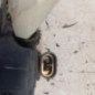 Anti brouillard droit (feux) RENAULT GRAND SCENIC 3