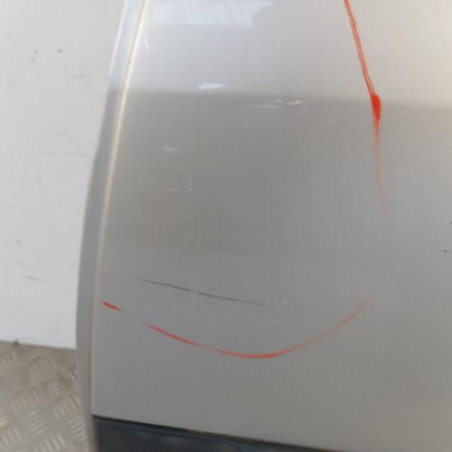 Porte arriere gauche RENAULT CLIO 3
