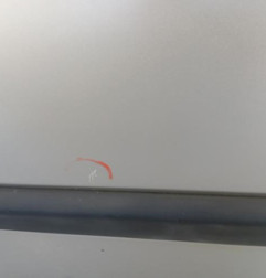 Porte avant gauche RENAULT CLIO 3