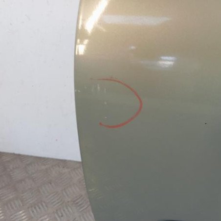 Porte avant gauche RENAULT CLIO 2