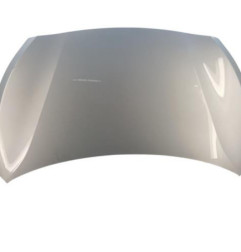 Capot HYUNDAI I 20 1 Photo n°1