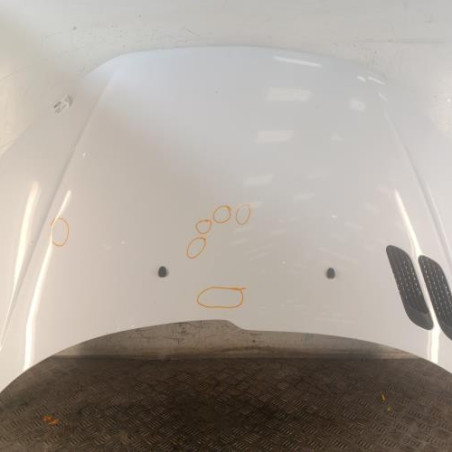 Capot PEUGEOT 206 Photo n°1