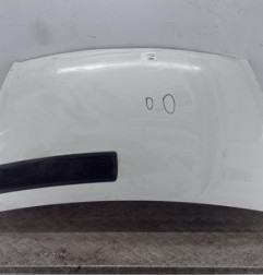 Capot RENAULT TRAFIC 2 Photo n°1
