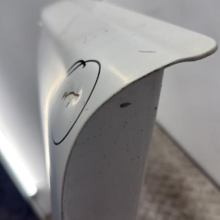 Porte de coffre droit RENAULT TRAFIC 2