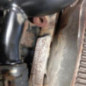 Moteur VOLKSWAGEN TRANSPORTER 5