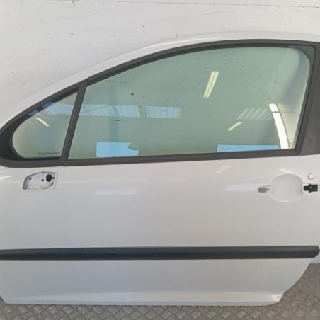 Porte avant gauche PEUGEOT 207 Photo n°1
