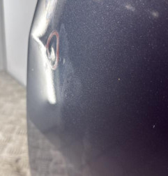 Porte arriere gauche SEAT IBIZA 4