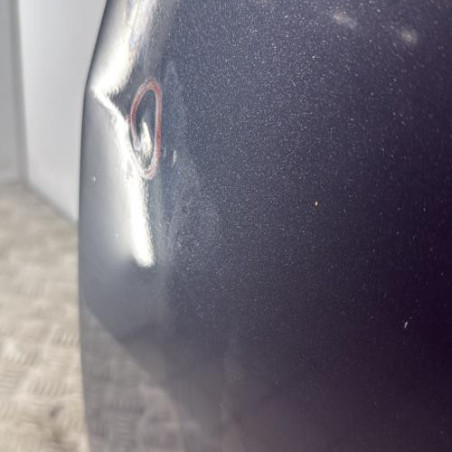 Porte arriere gauche SEAT IBIZA 4