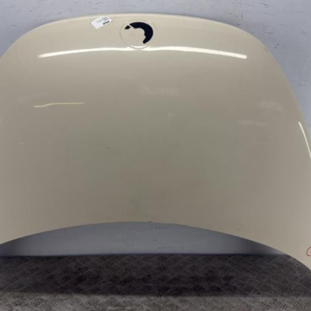 Capot VOLKSWAGEN NEW BEETLE 1 Photo n°1