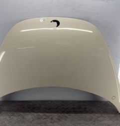 Capot VOLKSWAGEN NEW BEETLE 1